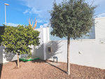 ES172629: Villa  in Pilar De Horadada